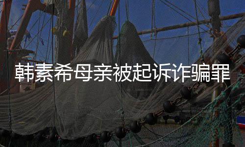 不会帮母务亲被起诉亲偿希母希称诈骗罪 韩素韩素还债